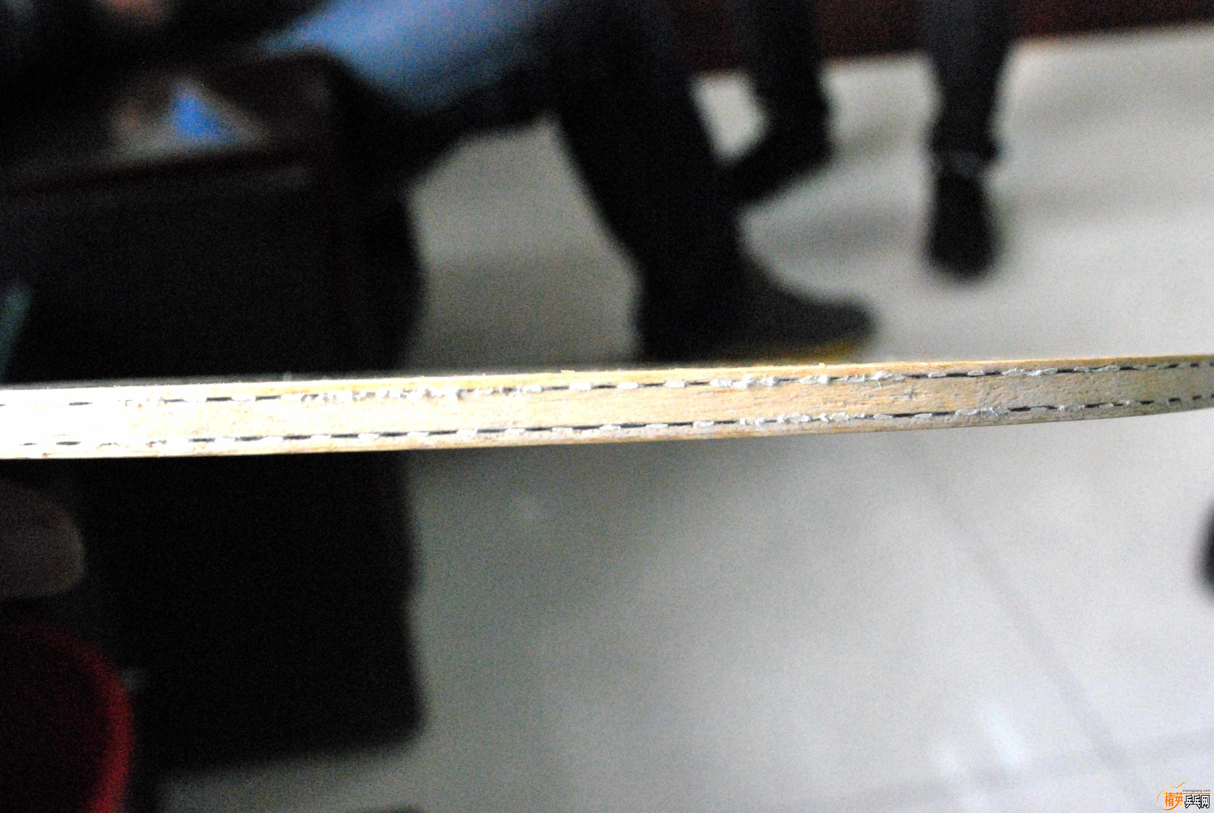 DSC_0204_.jpg