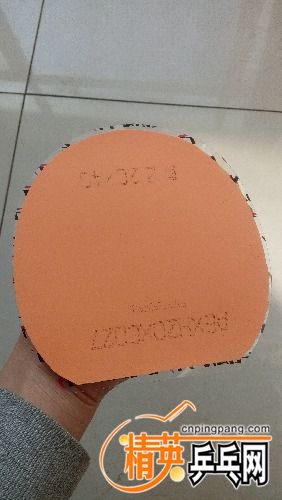 IMG_20161227_110854.jpg