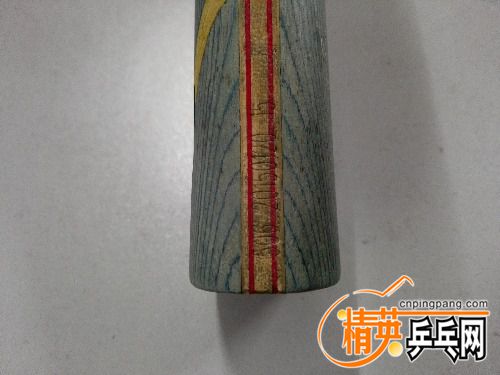 IMG_20161207_074946.jpg
