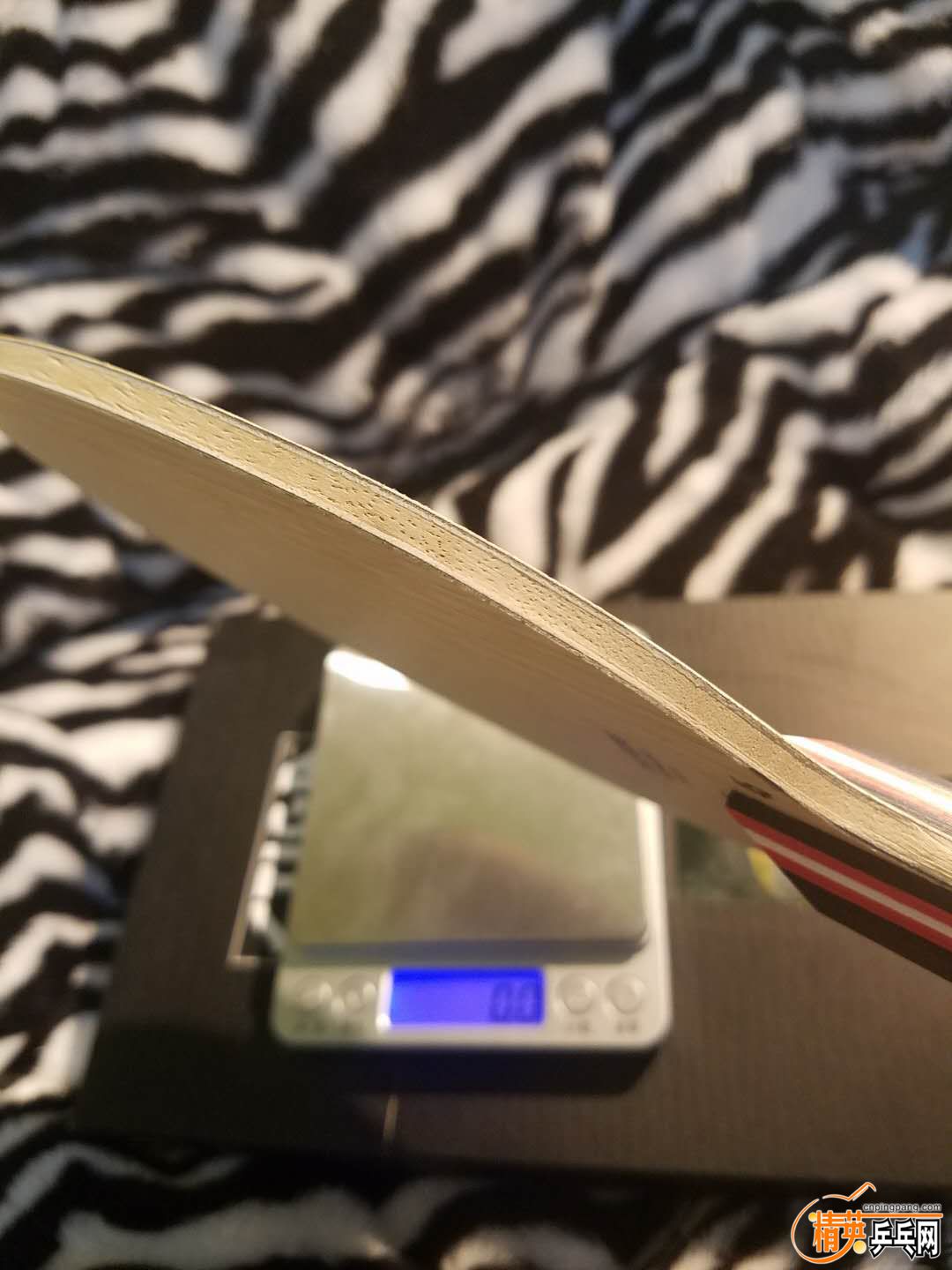 517359819047057765.jpg
