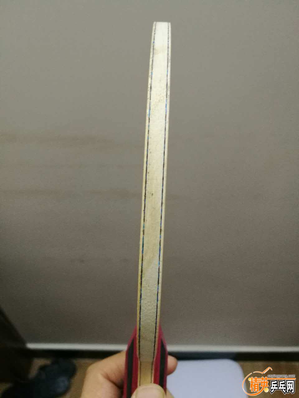 1822072405.jpg