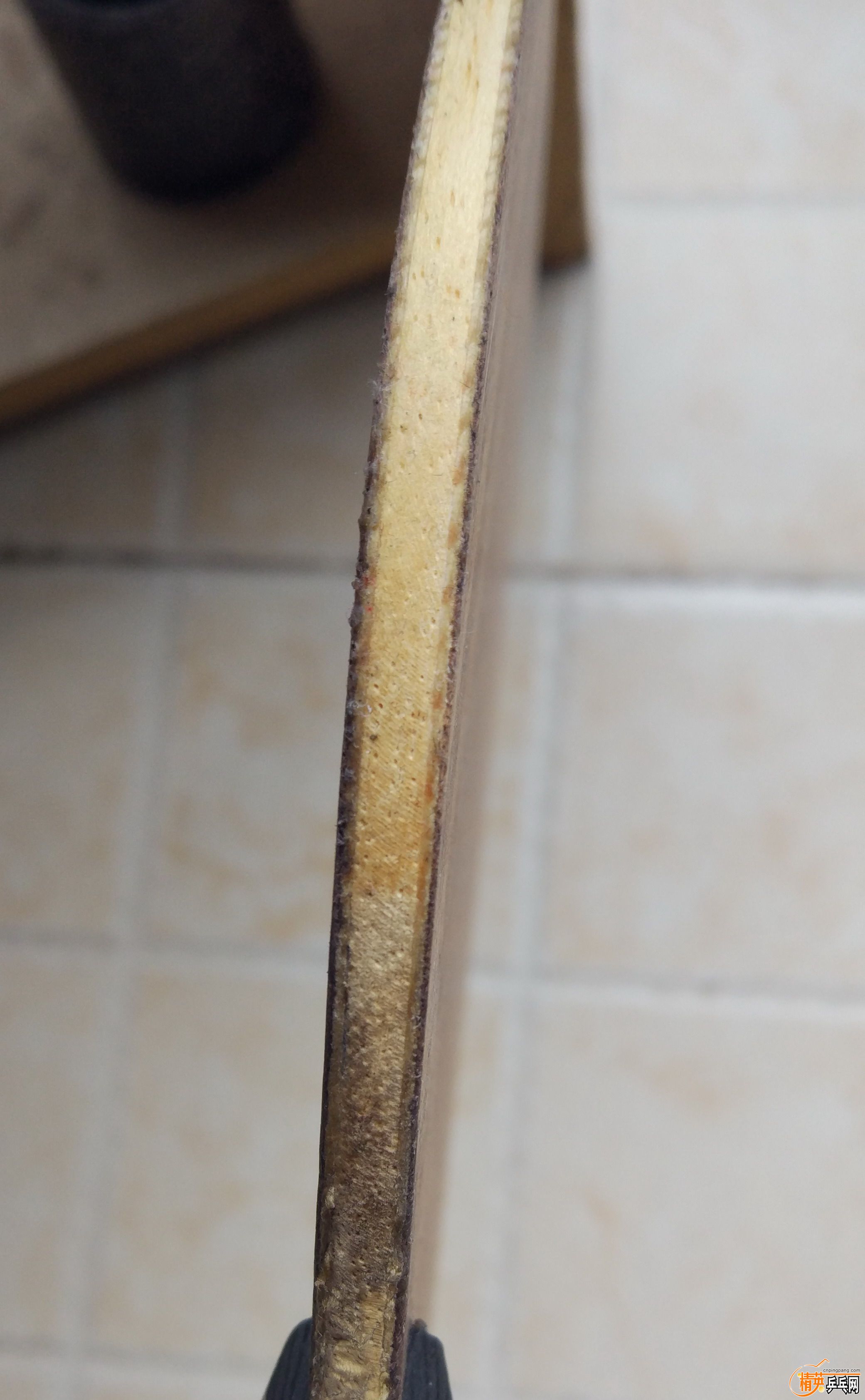 555.jpg