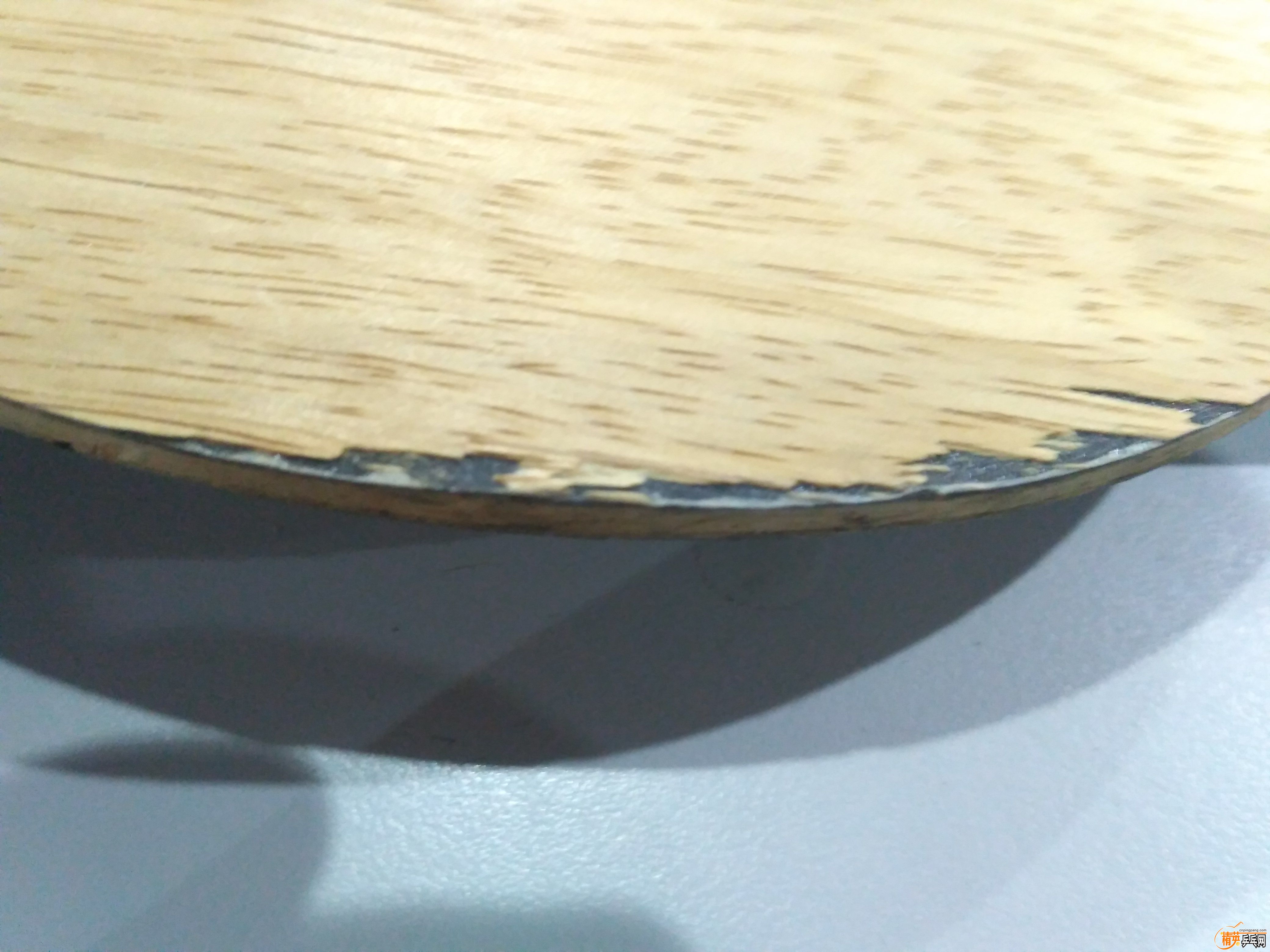 1484091560121.jpg