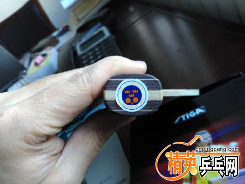 IMG_20170112_091809R.jpg