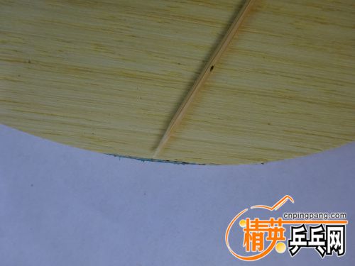 DSC00416.jpg