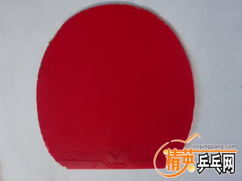 DSC00425.jpg