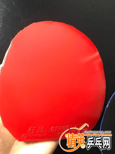 225107wqn4q93839mqn389.jpg