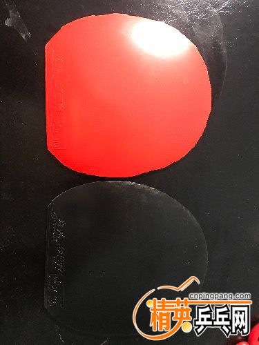 225021amnsliciinns3i3u.jpg