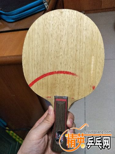 IMG20170119153813.jpg