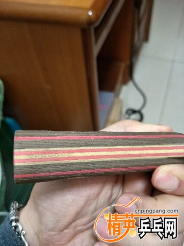 IMG20170119153829.jpg