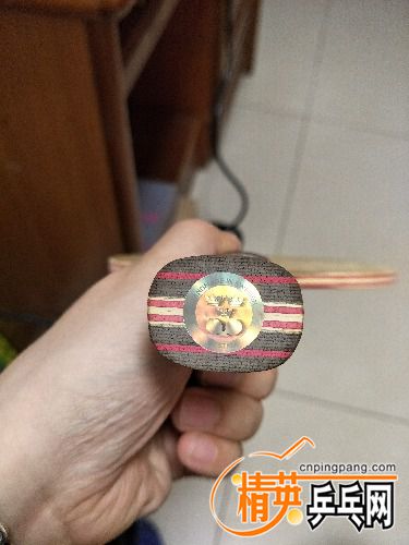 IMG20170119153834.jpg