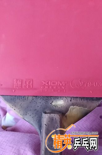 IMG20170120113816.jpg