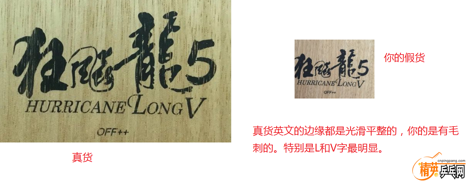 5 LOGO2.PNG