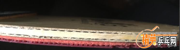 2555.jpg
