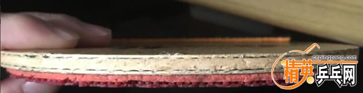 2444.jpg