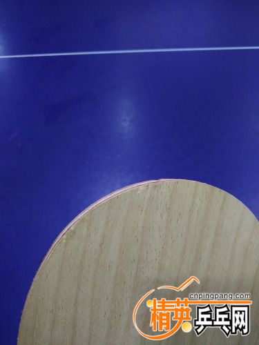 IMG_20170205_151307.jpg