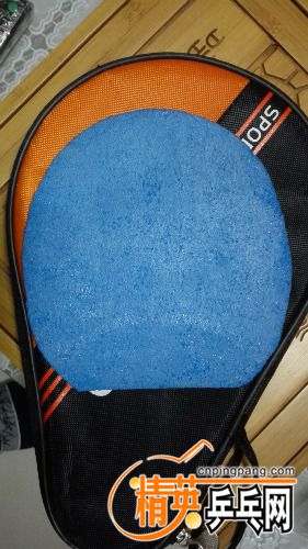 IMG_20170205_203253.jpg