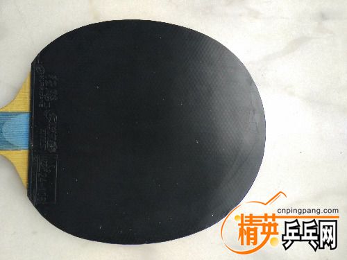 IMG_20170207_114635.jpg