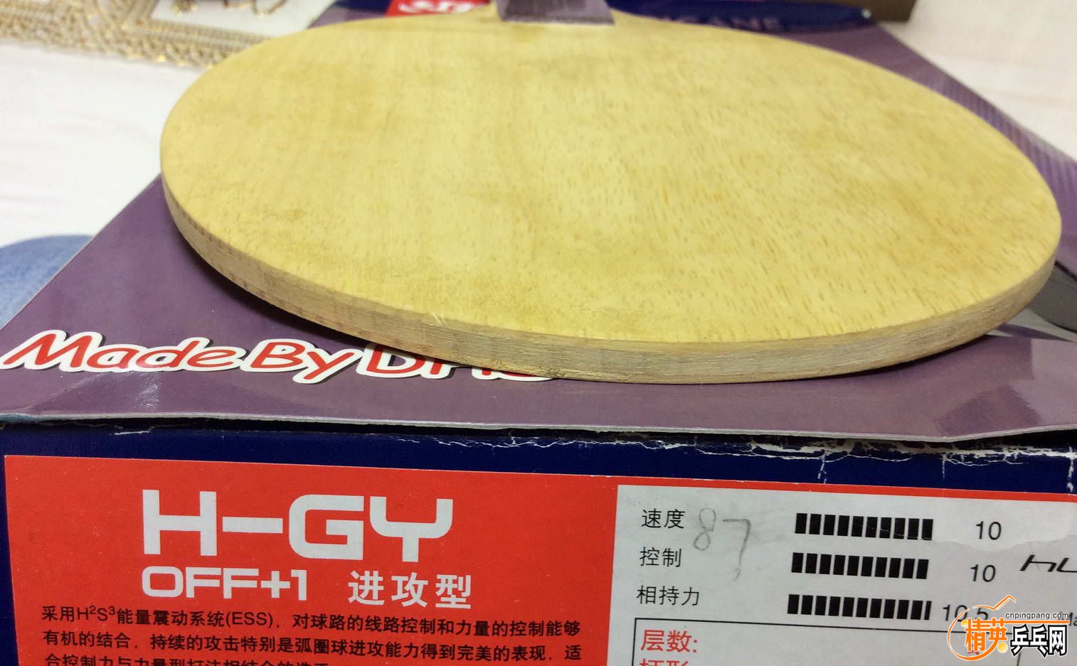 1˫ϲ GY (7).jpg