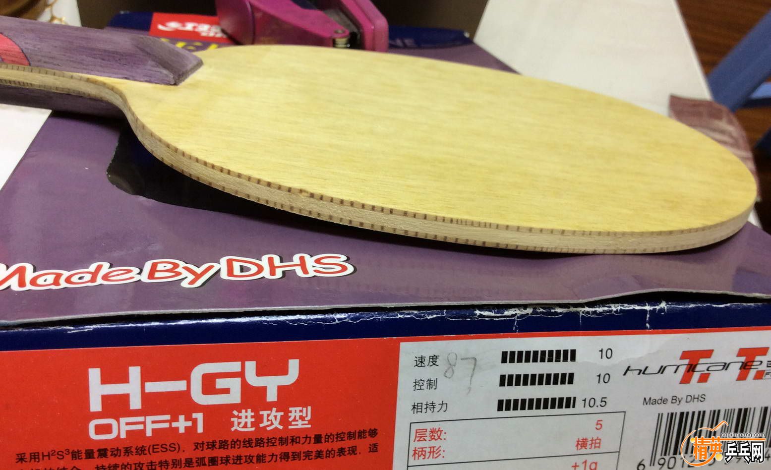 1˫ϲ GY (8).jpg