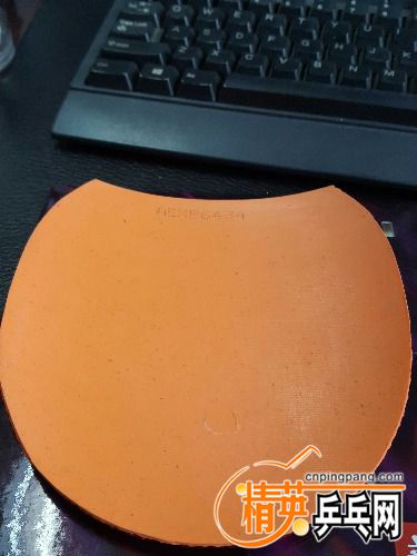20170209_075721_comps.jpg