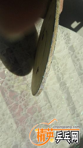 IMG_20170209_125405.jpg