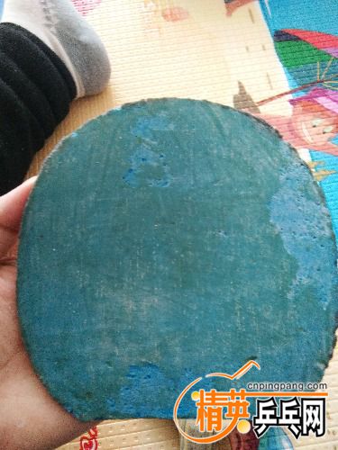 IMG_20170208_130438.jpg