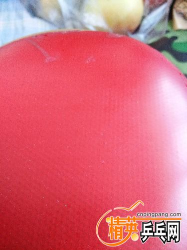 IMG_20170210_124226.jpg