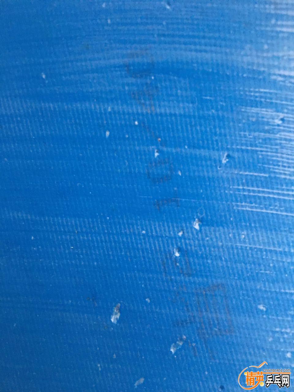 279572018843510139.jpg