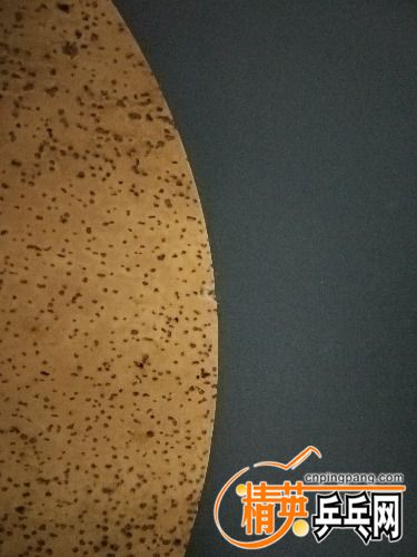 IMG_20170214_205911.jpg