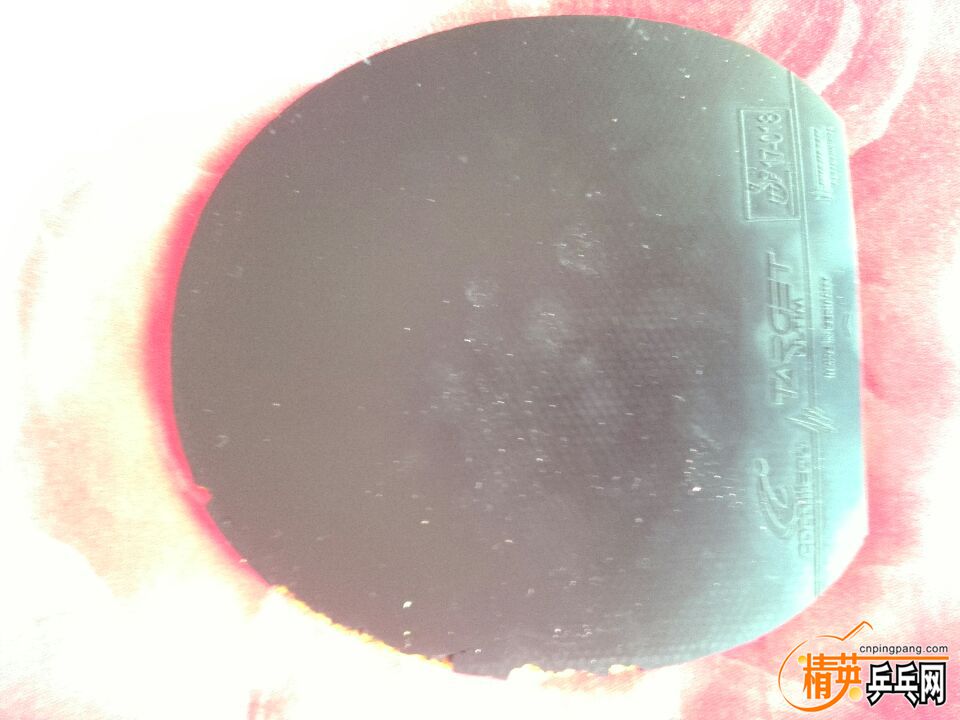259EFD338A51120412DBD5787251849B.jpg