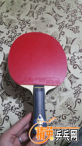 20170215_233948.jpg