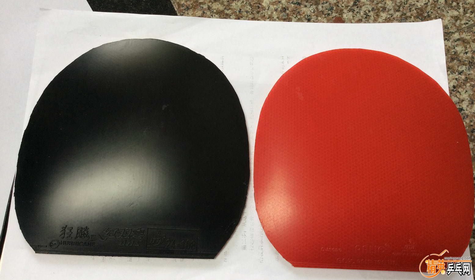 8���� cj8000 (1).jpg