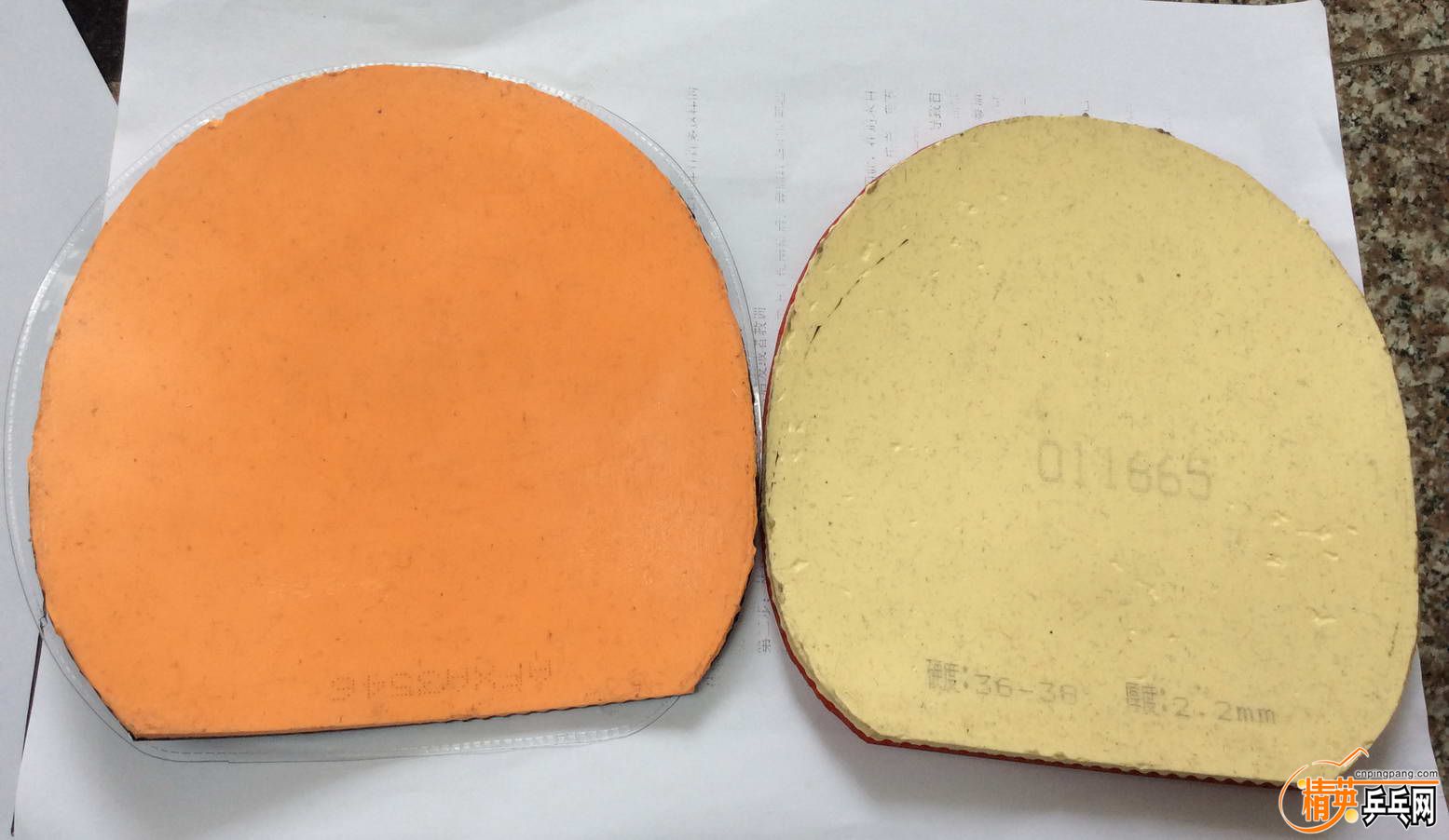 8���� cj8000 (3).jpg