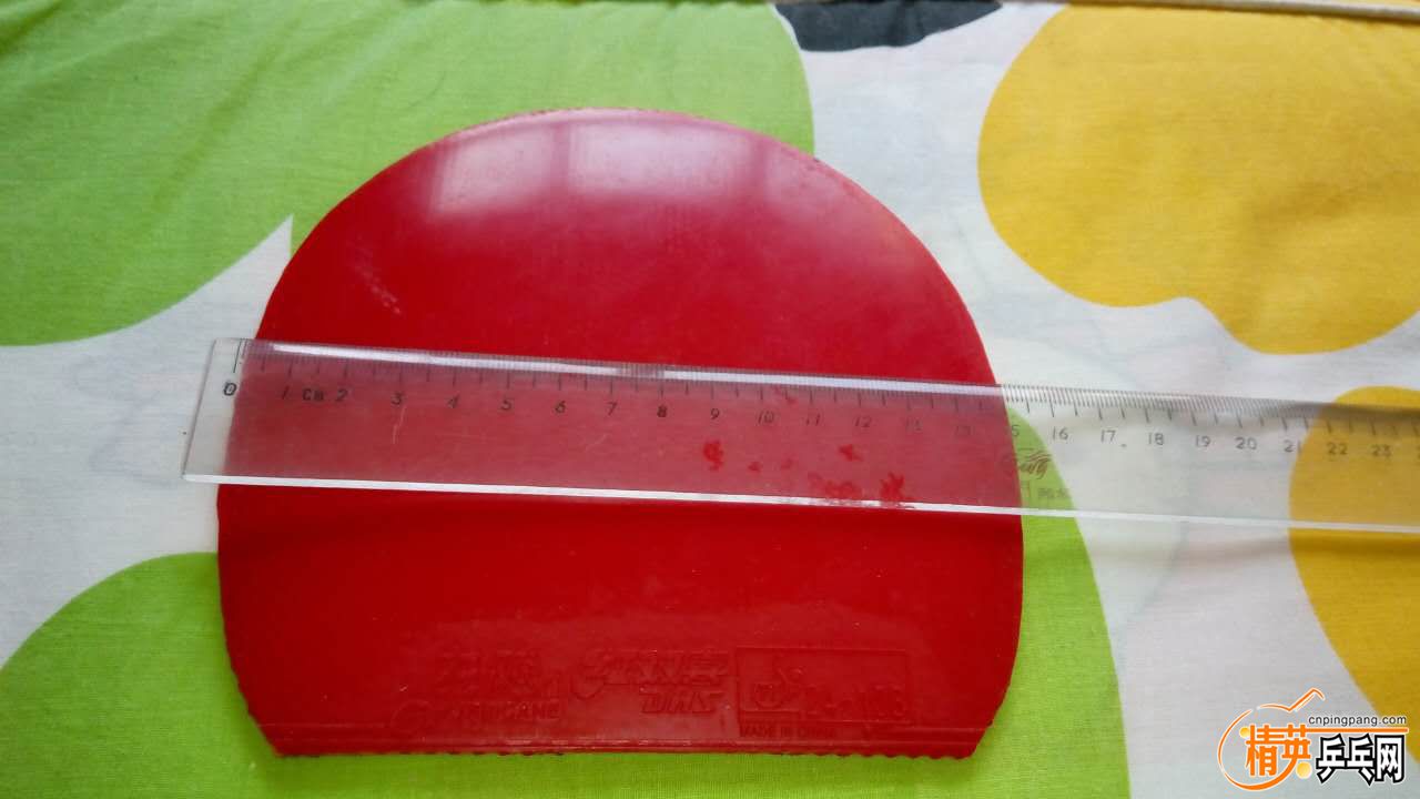 ʡ2.jpg