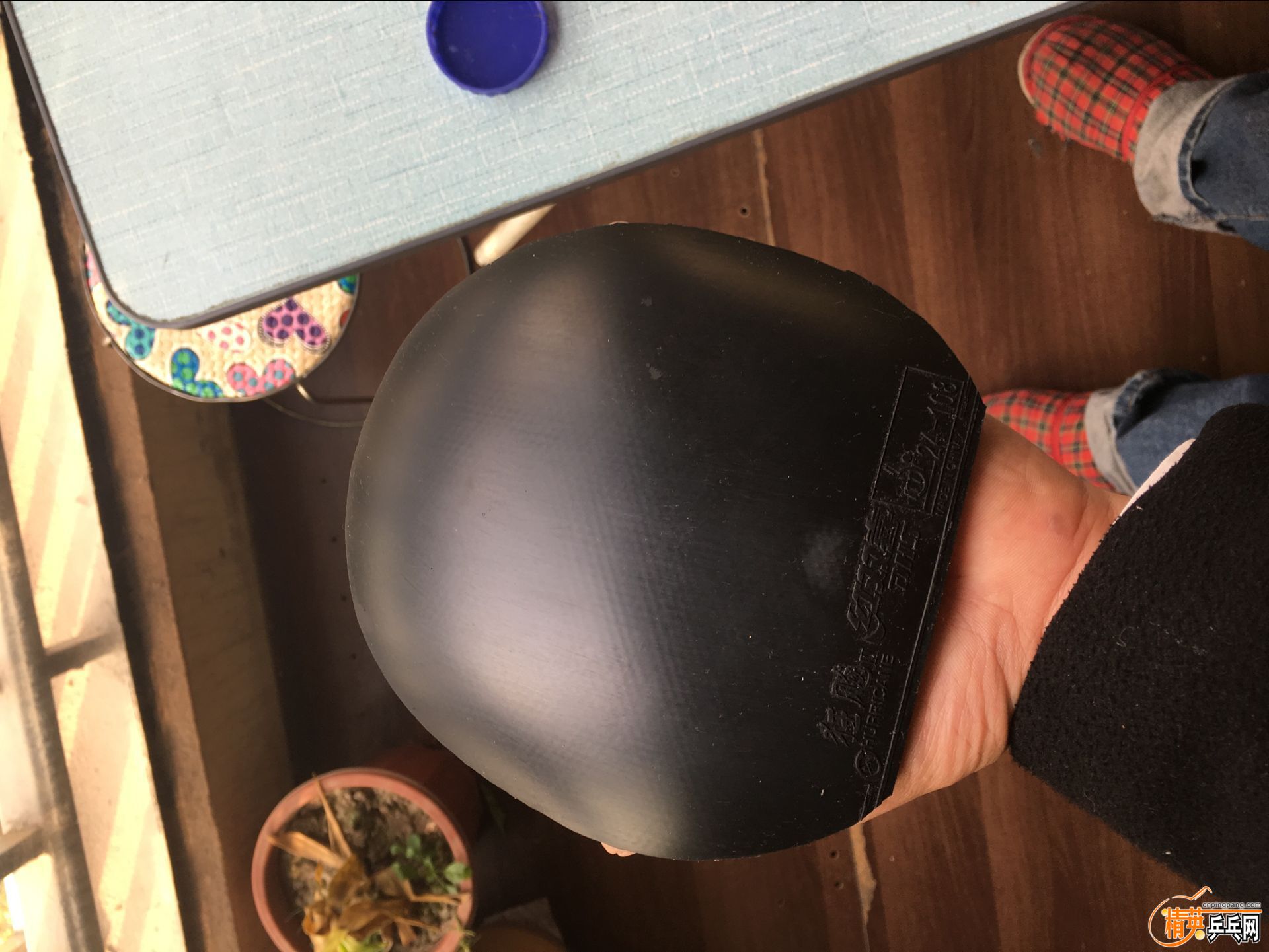 ������ (1).jpg