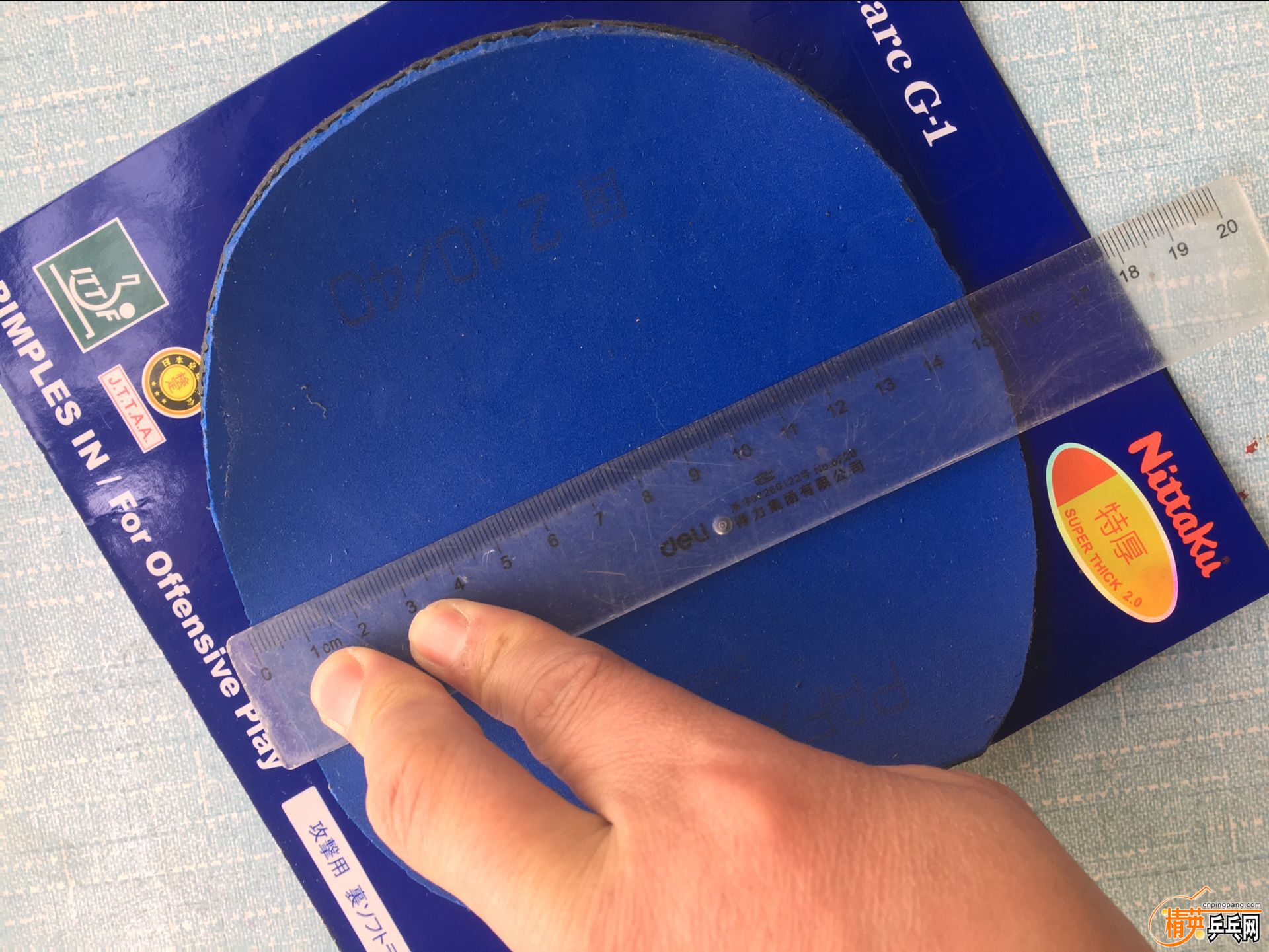 ������ (2).jpg