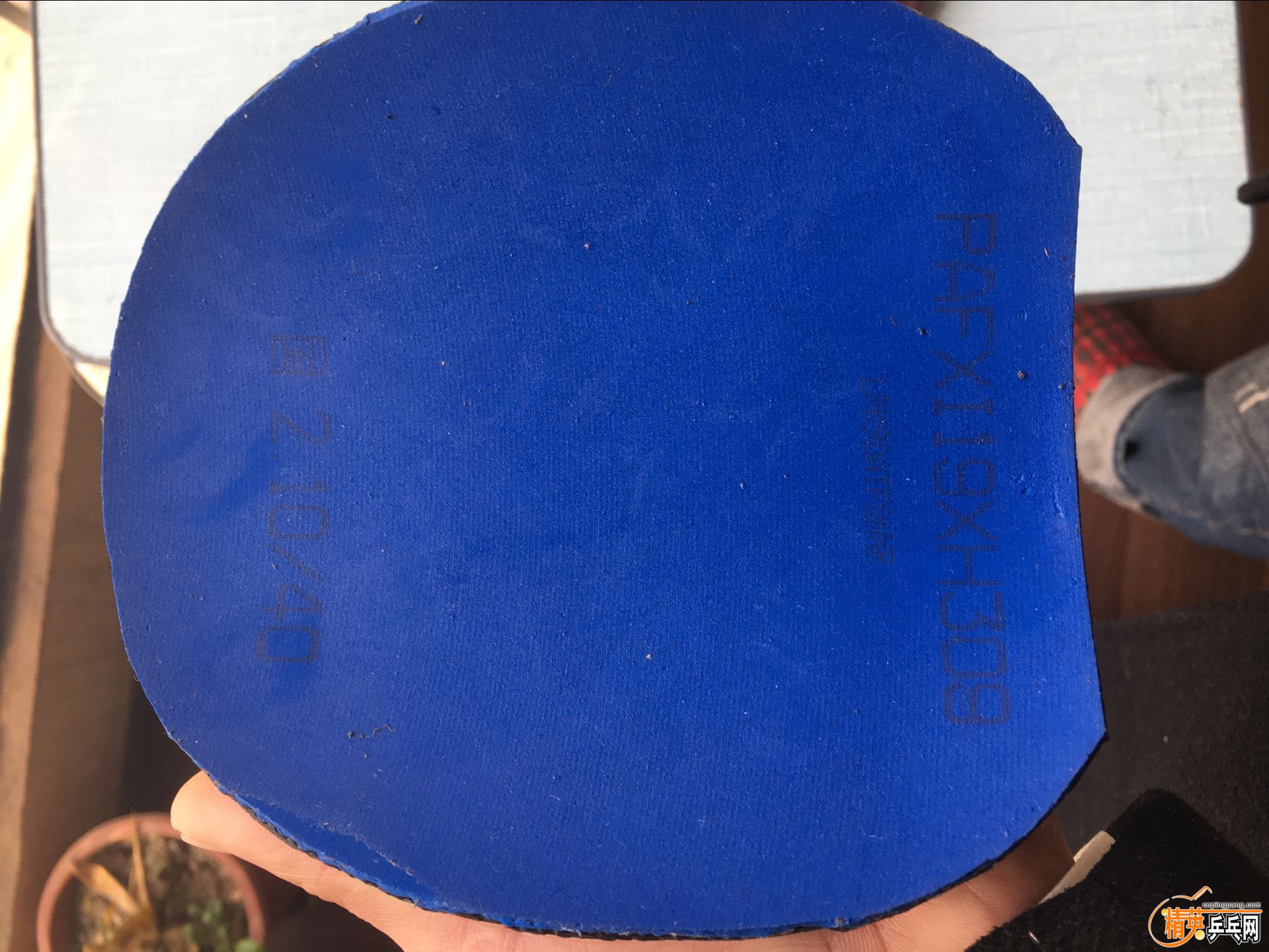 ������ (12).jpg