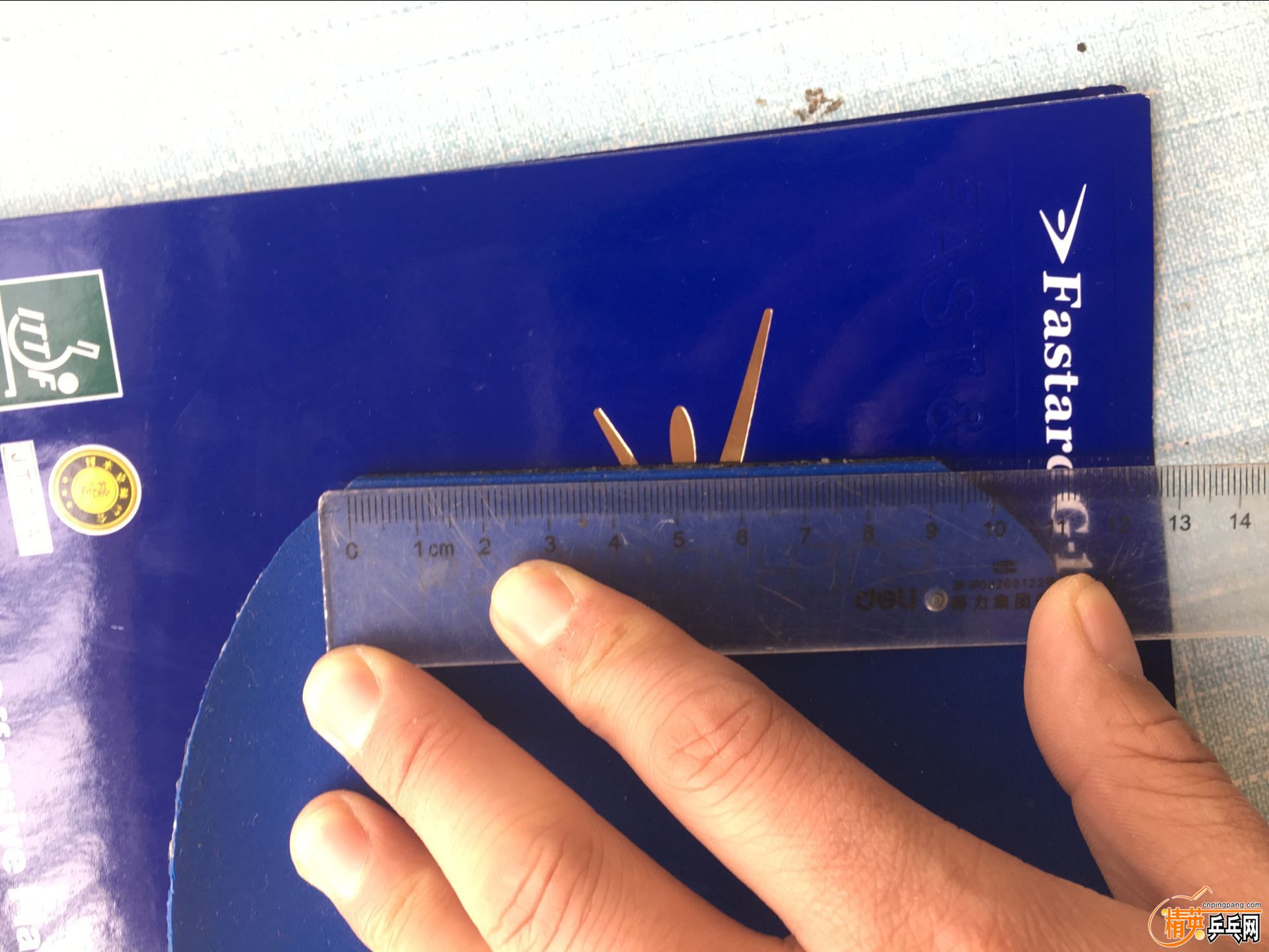 ������ (13).jpg