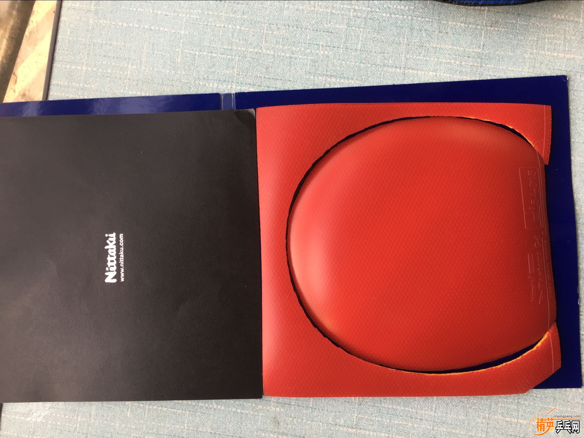 ������G-1 (4).jpg