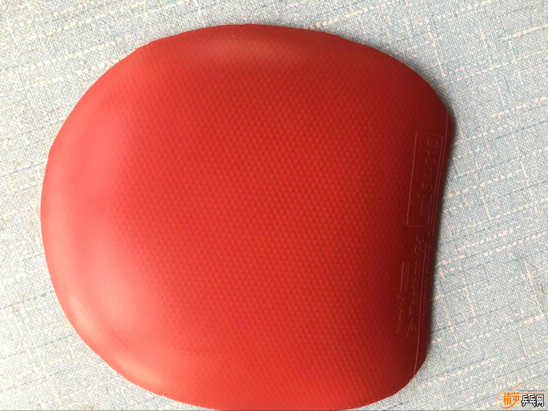 ������G-1 (6).jpg