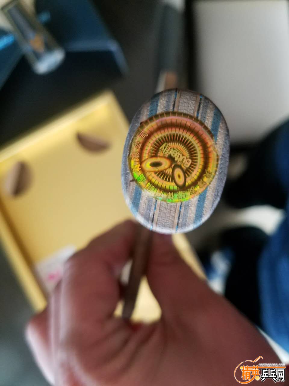 293413197.jpg
