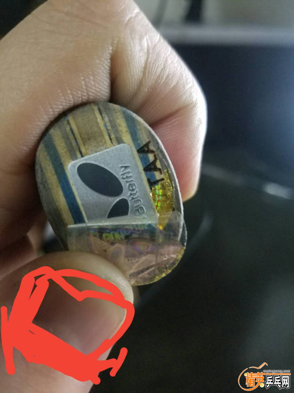 803257399.jpg