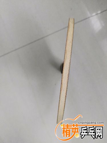 IMG_20170220_133547.jpg