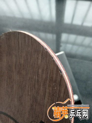 IMG20170221075347.jpg