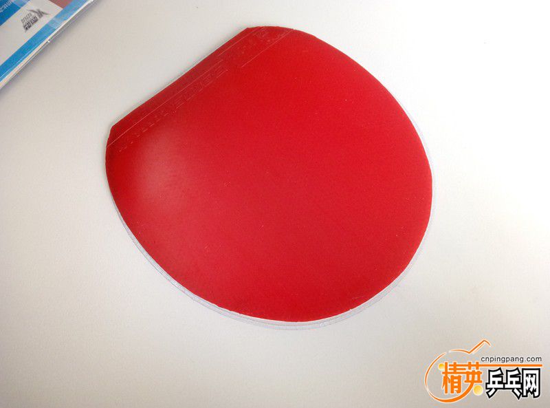 P70221-101006 ().jpg