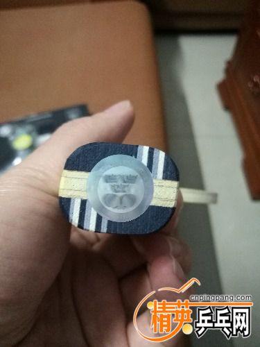 IMG_20170108_210011.jpg