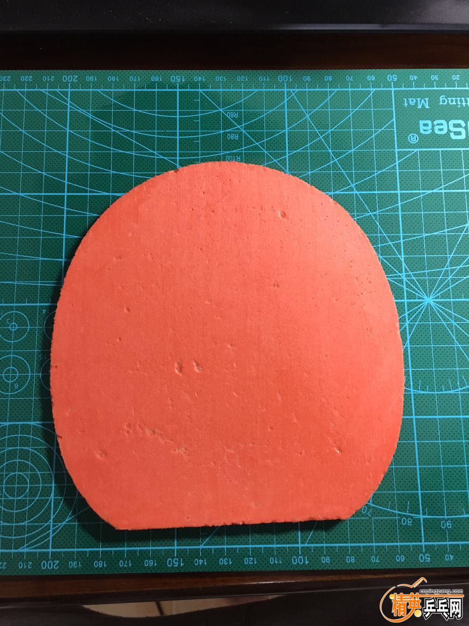 736132729225636597.jpg