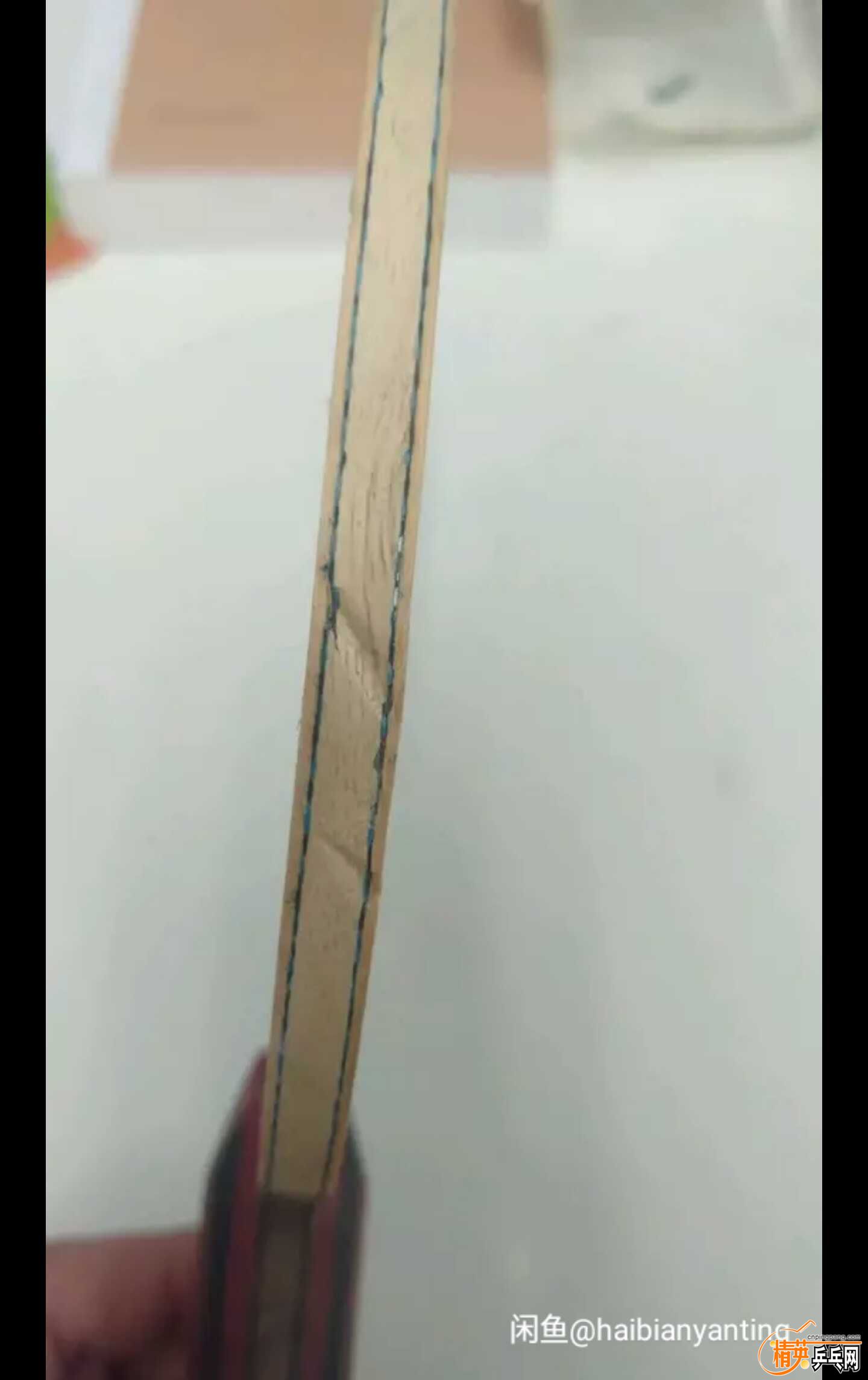 46342793.jpg