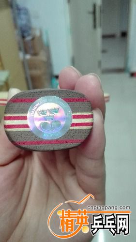 IMG_20170225_194806.jpg